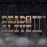 Dead or Alive 2 - Drip Casino