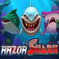 Razor Shark - Drip Casino