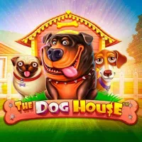 The Dog House - Drip Casino